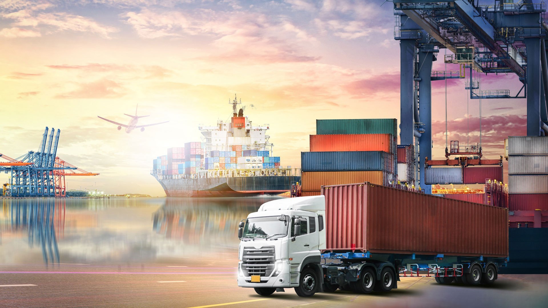 Star MS Logistics - Delivering the Trust